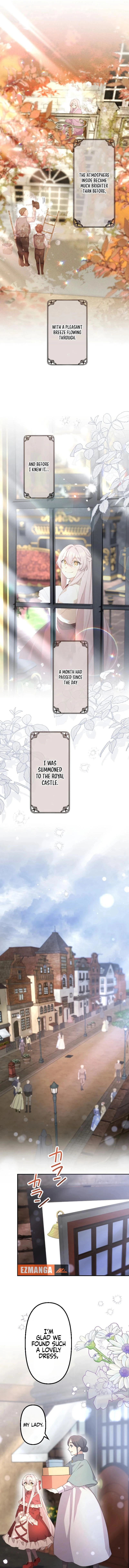 76470579 800 9740 1376246